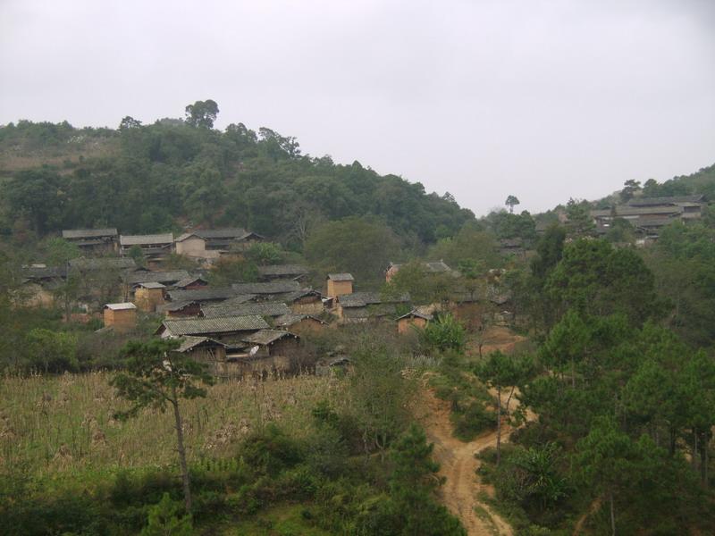 新店雲上村