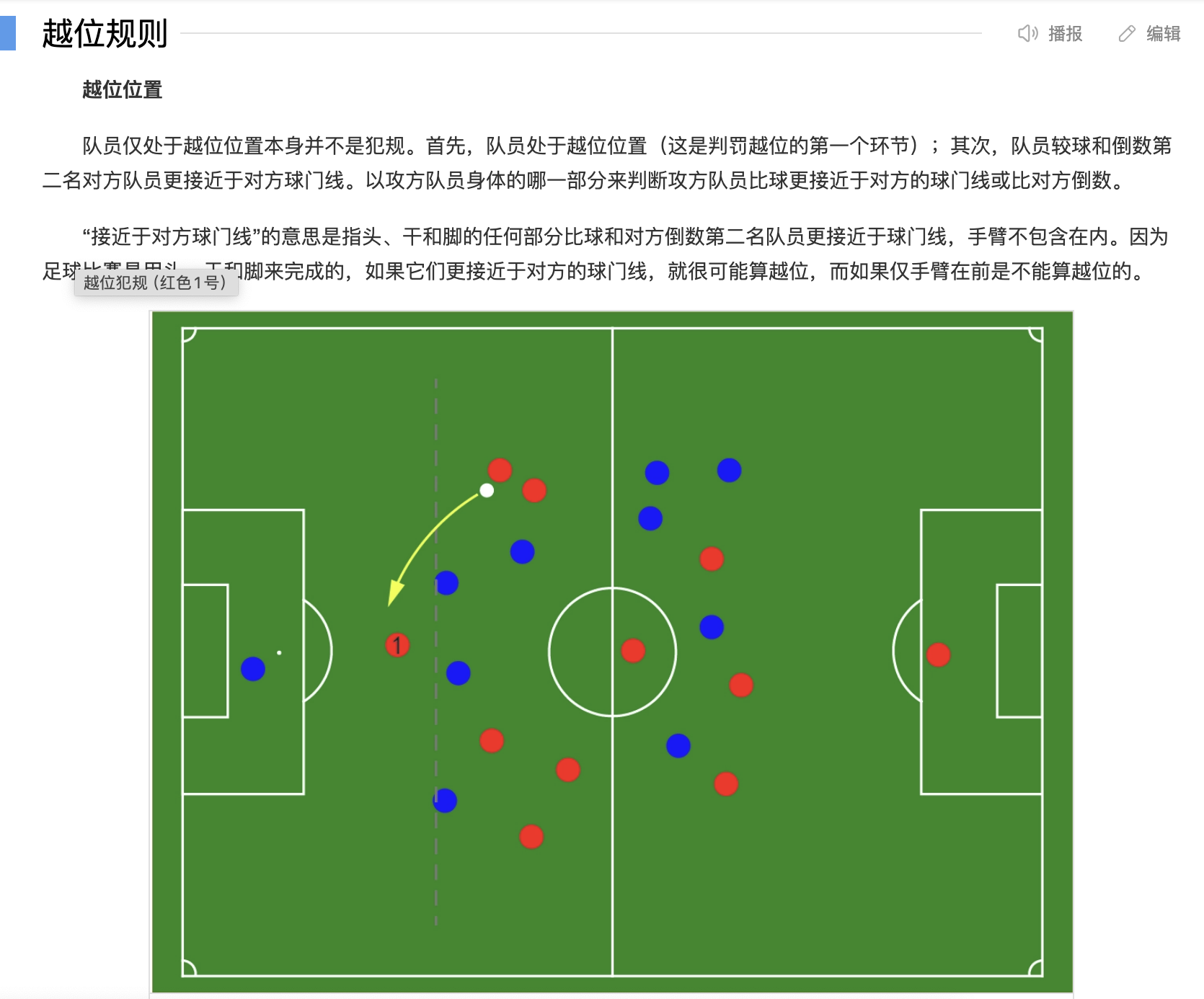 體育技戰術/規則/術語類百科編輯指南