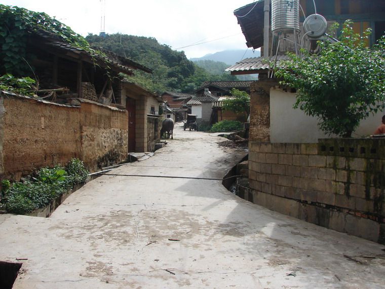 水灣村(雲南省玉溪市峨山縣化念鎮下轄村)