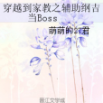 穿越到家教之輔助綱吉當Boss