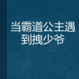 當霸道公主遇到拽少爺