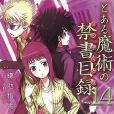 とある魔術の禁書目錄 14 (14) （電撃文庫 か 12-15）