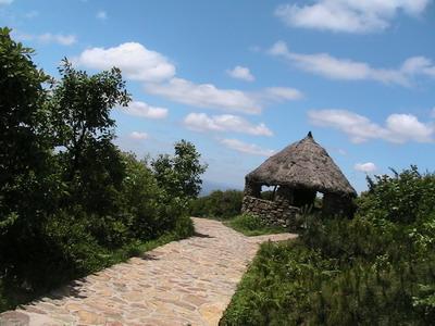 進村道路