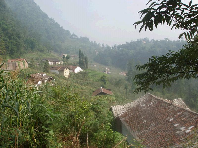 大魚自然村(雲南昭通鹽津縣鹽井鎮水田村委會大魚自然村)