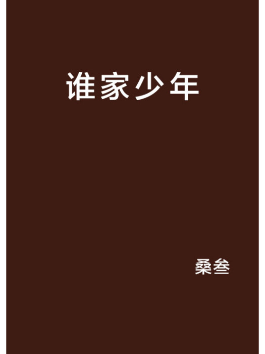 誰家少年(網路小說)