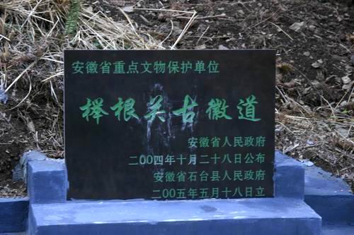 仙寓山文化遺存