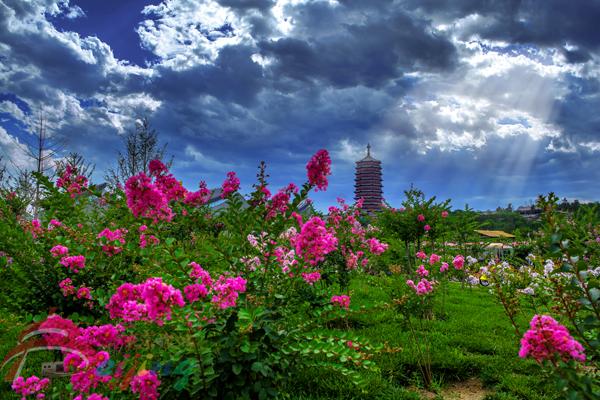 香花寺村