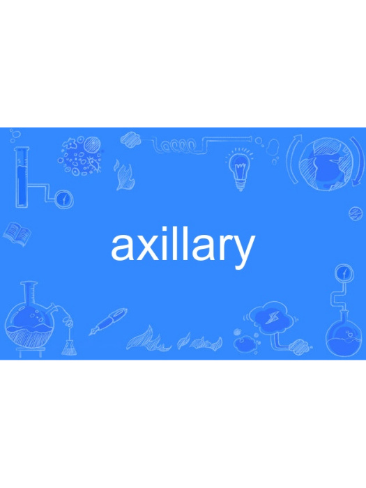 axillary