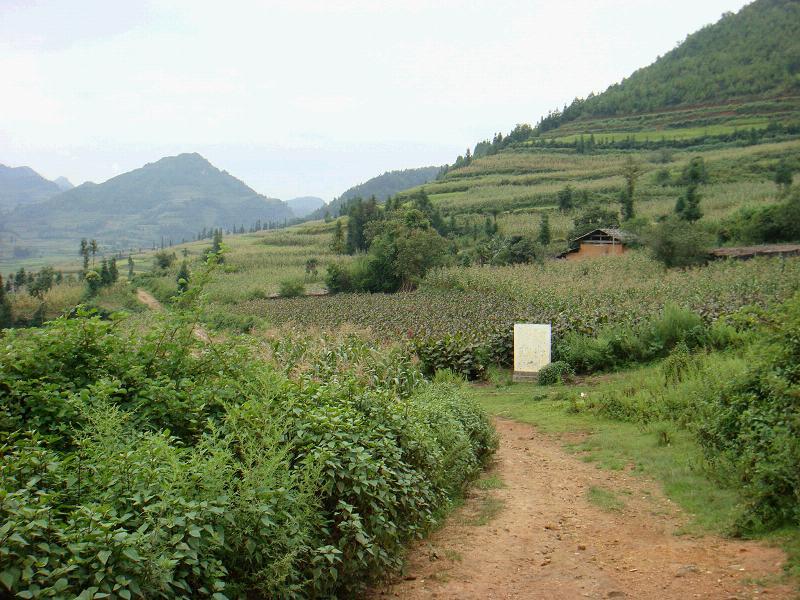 大田灣村