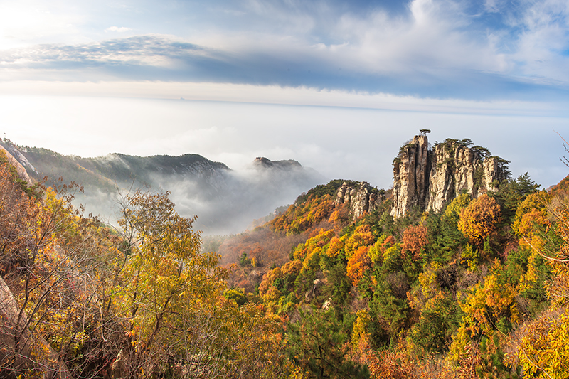 鷹窩峰