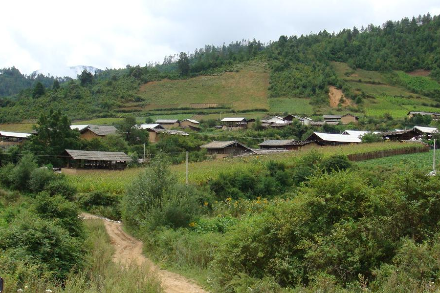 核桃樹村(元江縣青龍廠鎮假莫代村民委員會下轄村)