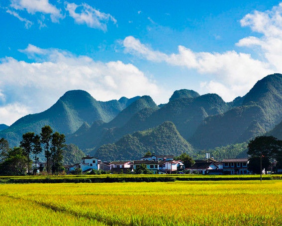 東峰林景區