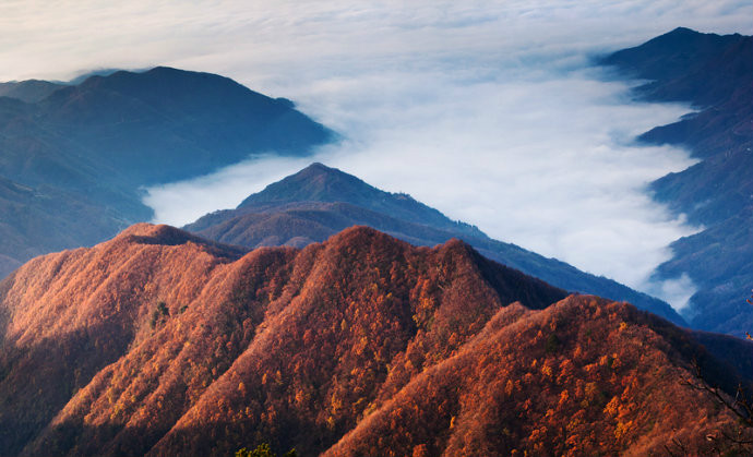 鳳凰山(陝西省安康市鳳凰山)