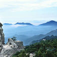 平頂山(湖北羅田平頂山)