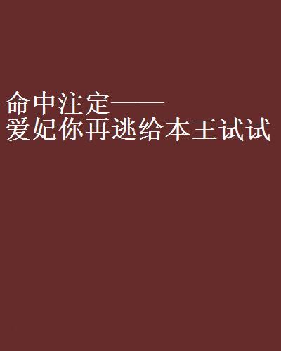 命中注定——愛妃你再逃給本王試試