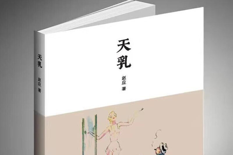 天乳(自貢籍作家趙應創作的長篇小說)