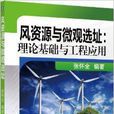 風資源與微觀選址：理論基礎與工程套用