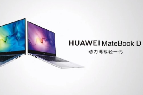 HUAWEI MateBook D 2021