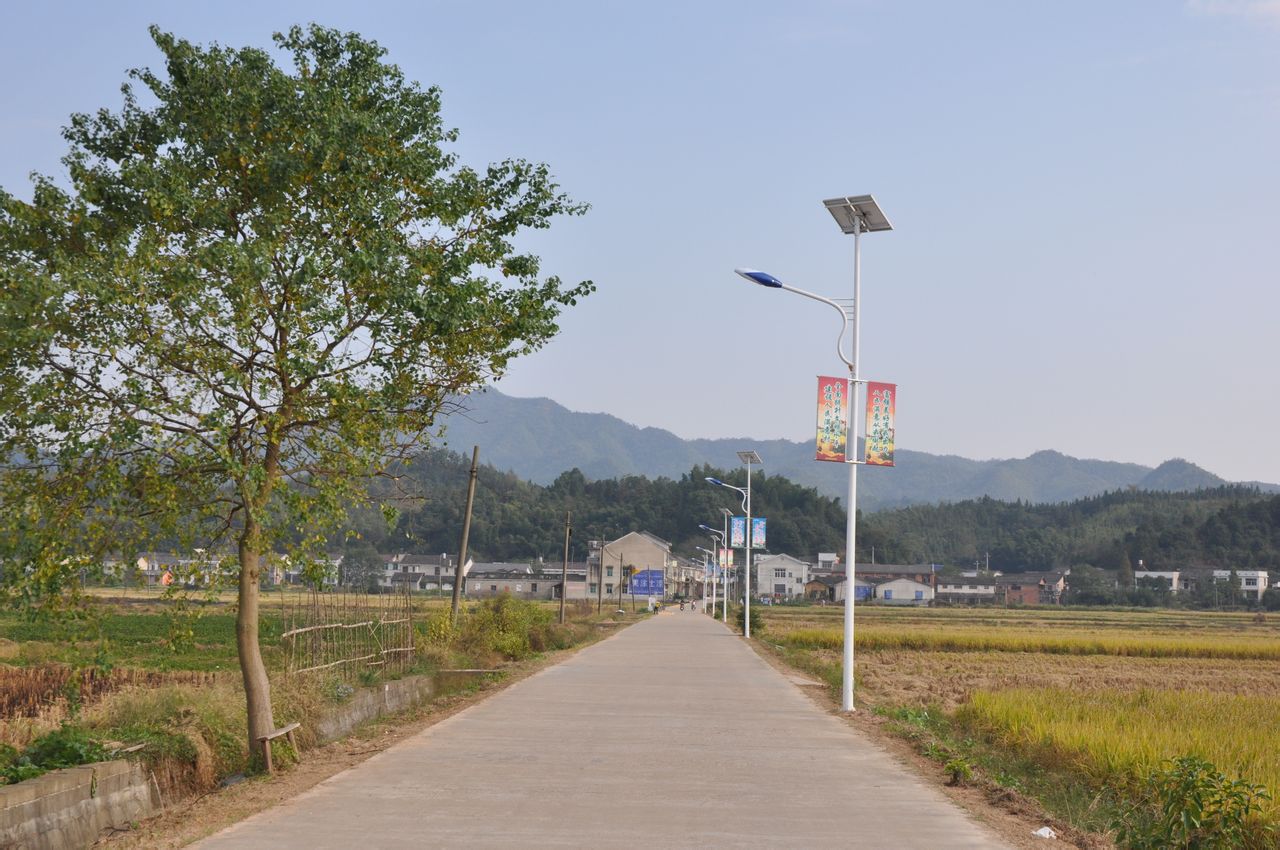 高橋鎮金橋村