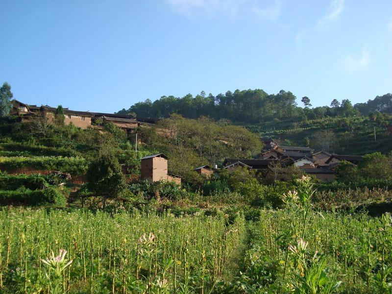 廟房村(雲南省楚雄市大地基鄉廟房村)