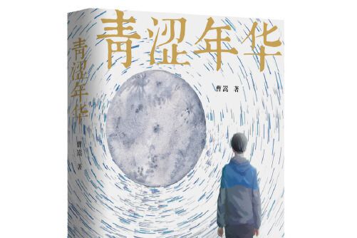 青澀年華(2019年作家出版社出版的圖書)