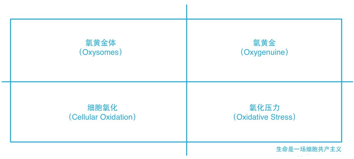 國際氧黃金生命科學學會