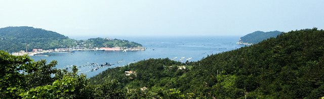 海洋島海參產地環境