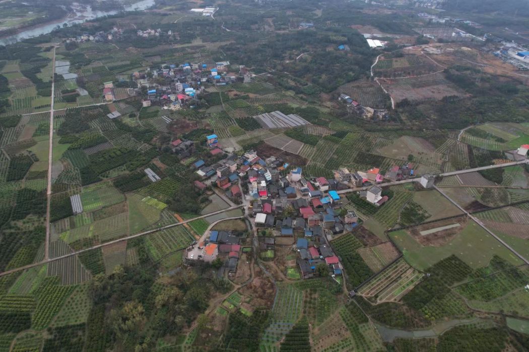 大洞村(廣西壯族自治區桂林市興安縣界首鎮下轄村)