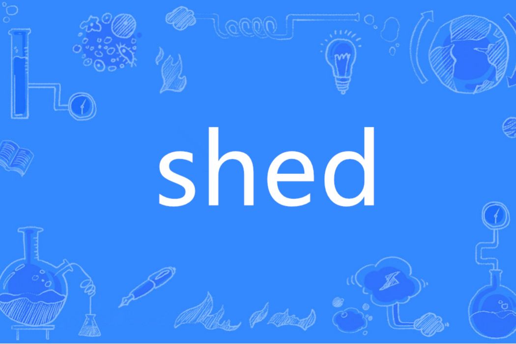 Shed(英語單詞)