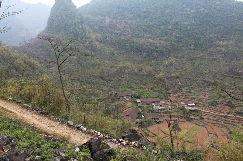 忠黨村(廣西壯族自治區南寧市武鳴區陸斡鎮下轄村)