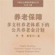 養老保障多支柱養老體系下的公共養老金計畫