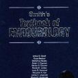 TEXTBOOK OF ENDOUROLOGY 腔內泌尿外科學