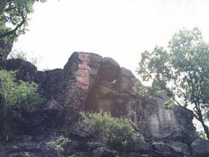 韭山國家森林公園