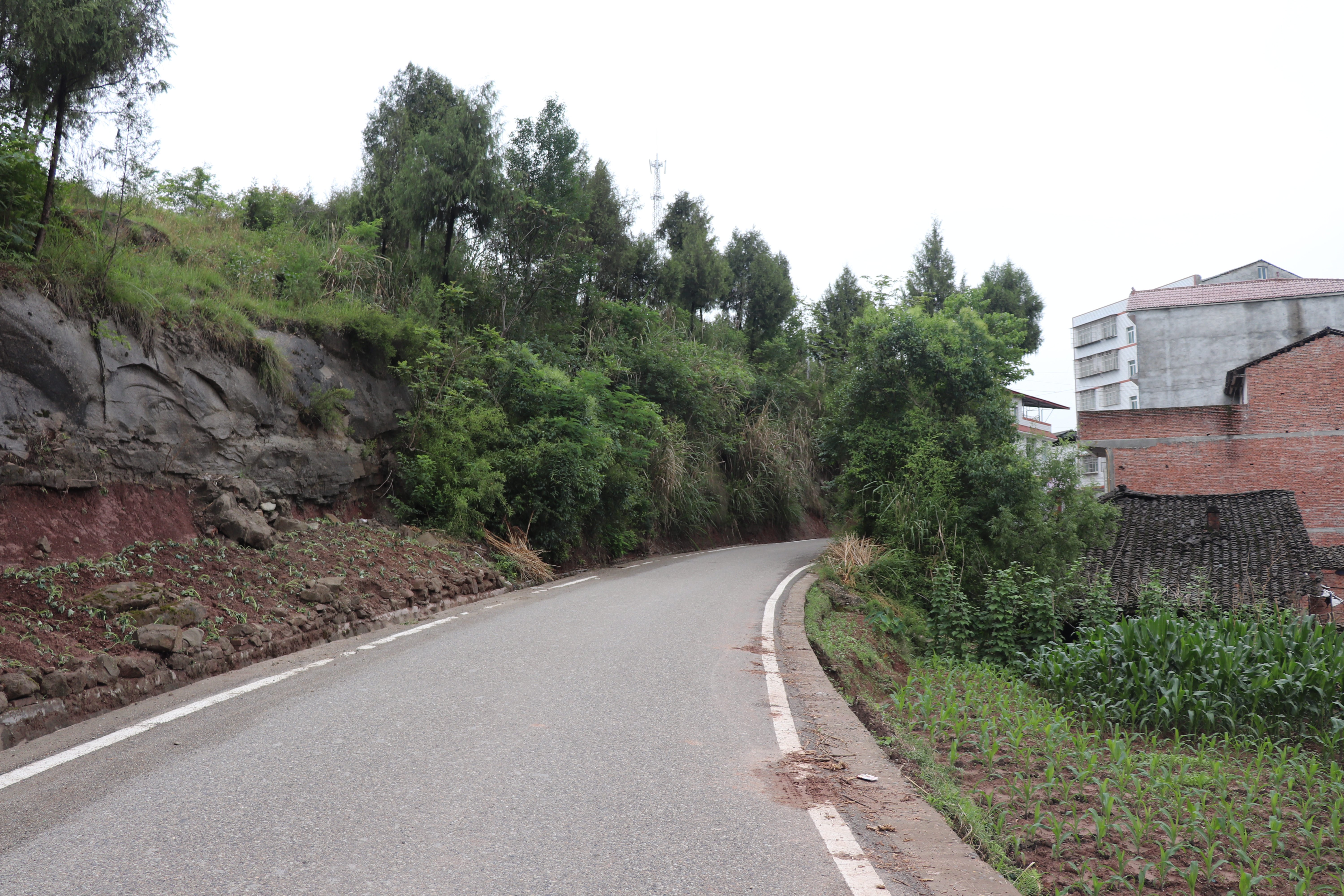 思德鎮鄉鎮道路