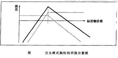 空頭跨式組合