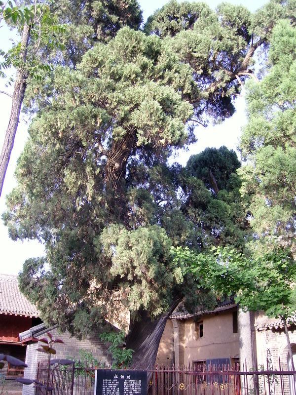 香山寺