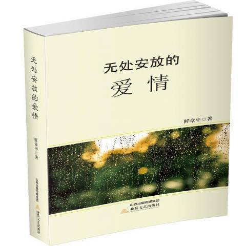 無處安放的愛情(2017年北嶽文藝出版社出版的圖書)