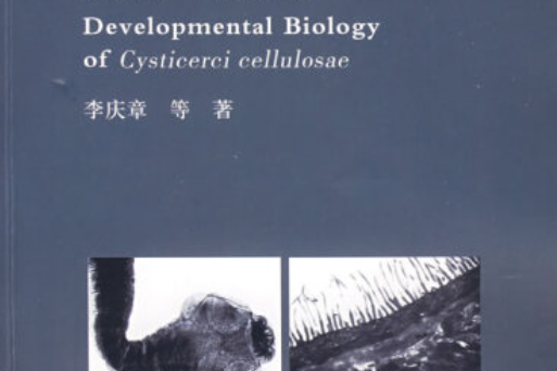 豬帶絛蟲囊尾蚴發育生物學