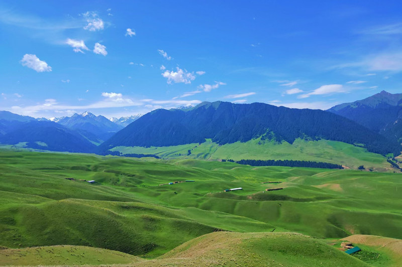 伊犁州喀拉峻景區