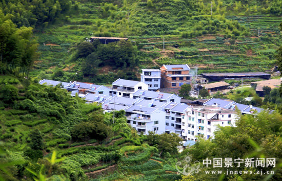 新村村(雲南省曲靖宣威市樂豐鄉新村村委會)