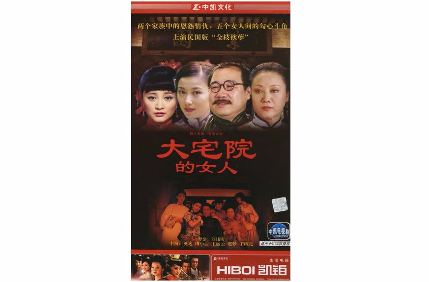 大宅院的女人(8DVD)