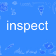 inspect