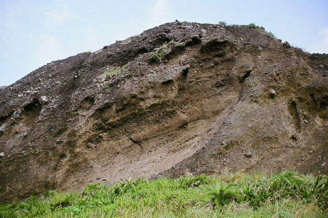 靈敏性粘土