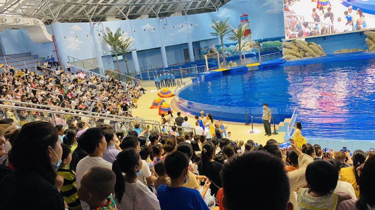 阜陽堯泰漢海海洋公園