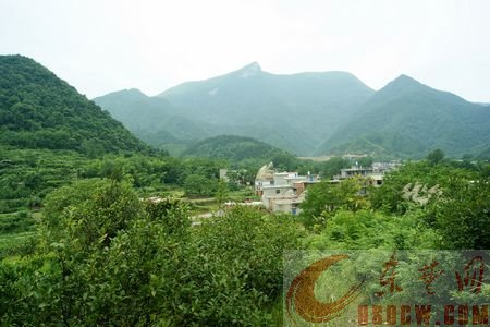 官山村全景