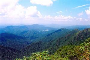 九連山風景