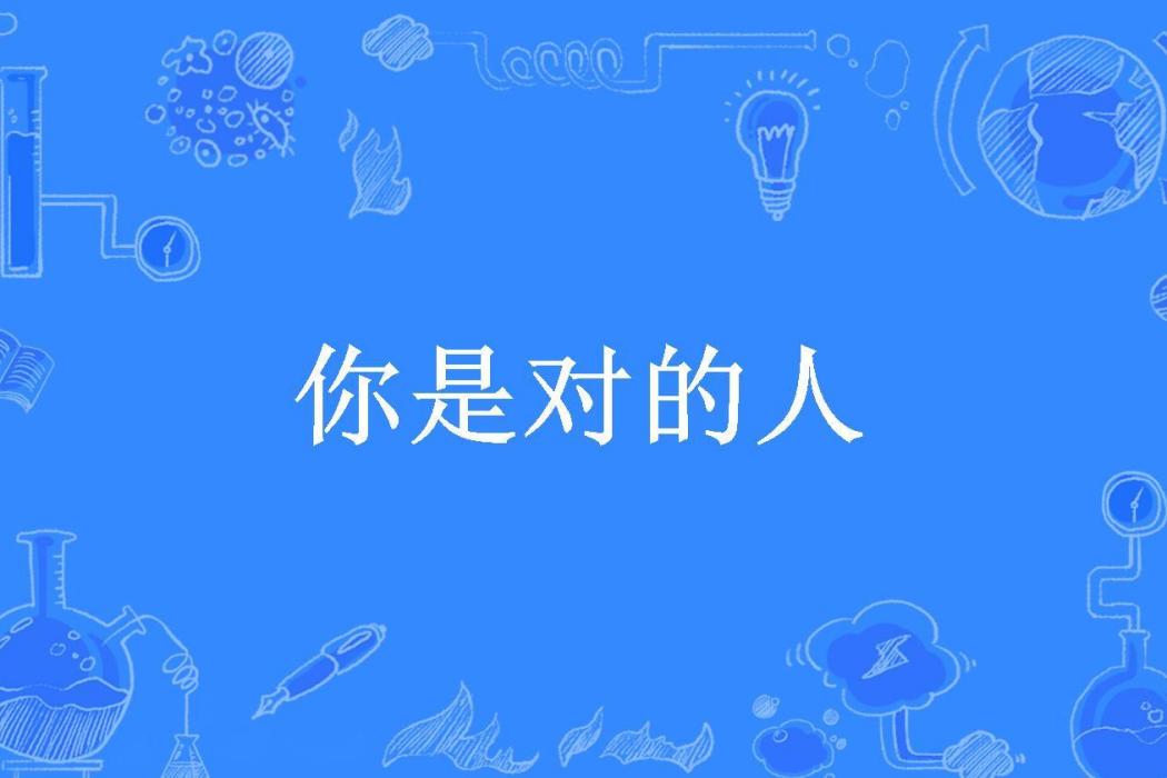 你是對的人(魏萊所著小說)