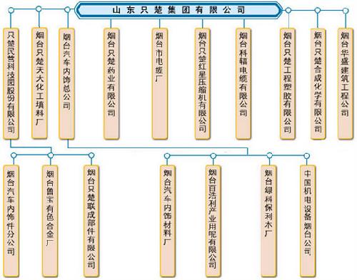 山東只楚集團有限公司