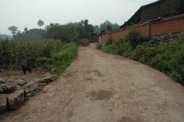 進村道路