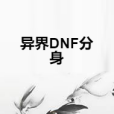 異界DNF分身